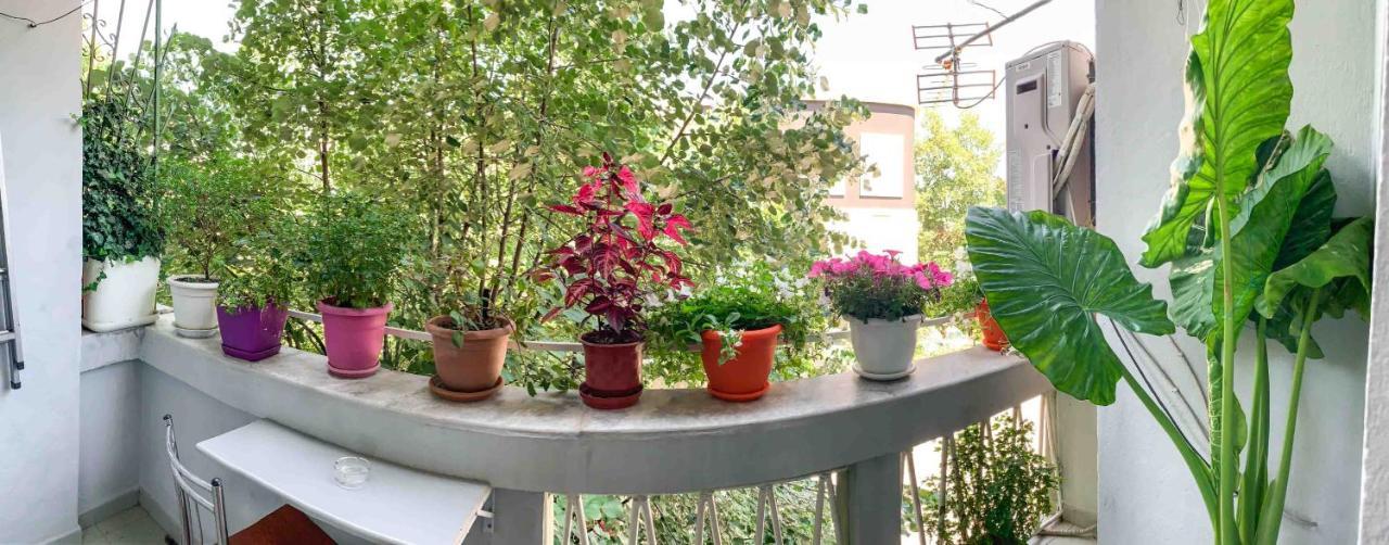 Korca Central Flat Екстер'єр фото